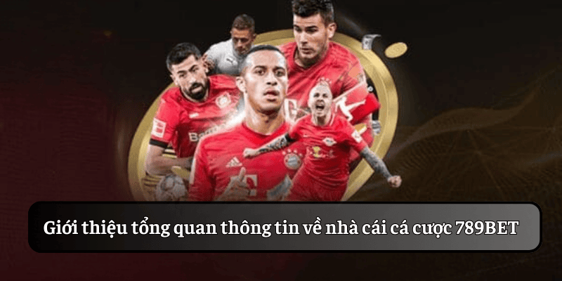 Tổng quan thông tin về nhà cái cá cược 789BET